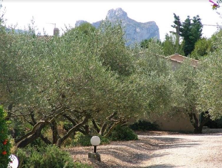 Saint-Rémy-de-ProvenceLe Mazet 40别墅 外观 照片